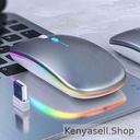 White Label Colorful LED 2.4G Rechargeable Mouse - Silver